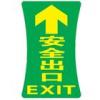安全出口 大