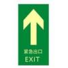 緊急出口-直行