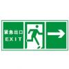 緊急出口標(biāo)志|緊急出口標(biāo)識(shí)|消防疏散標(biāo)志|逃生標(biāo)志
